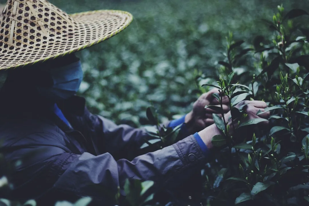 重庆夏季女装流行趋势:轻盈面料与时尚款式应用